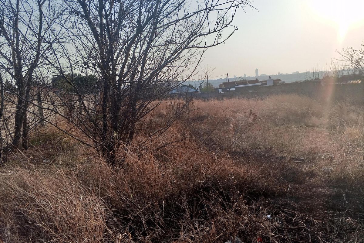 A Vacant Land With Services Available In Lombardy East. - Photo 4