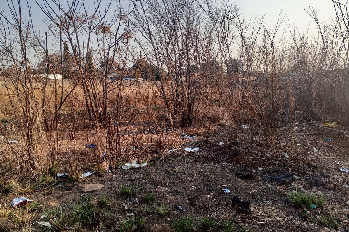 A Vacant Land With Services Available In Lombardy East. - Photo 5