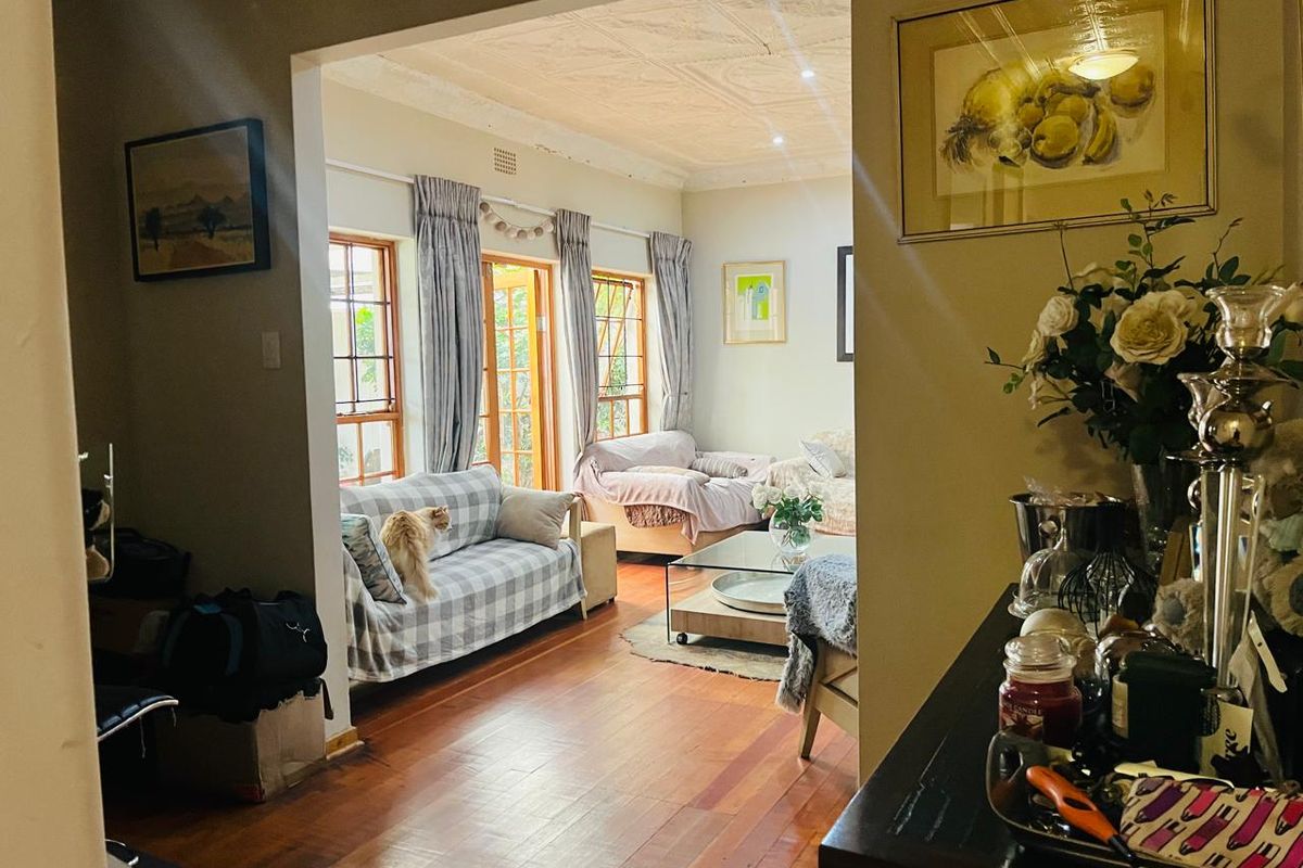 A view into a living room featuring timber flooring, large windows, and a decorative pressed metal ceiling.