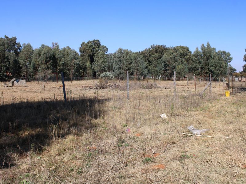 A vacant residential plot featuring dry grass, mature trees in the background, and perimeter wire fencing with a gate.