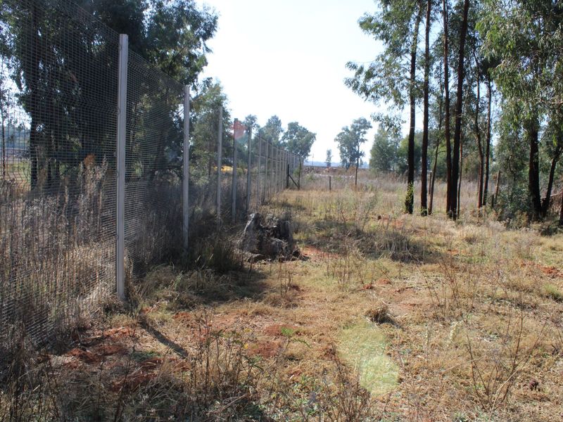 2.24 Hectare Smallholding Opportunity in Valley Settlements, Meyerton - Photo 10