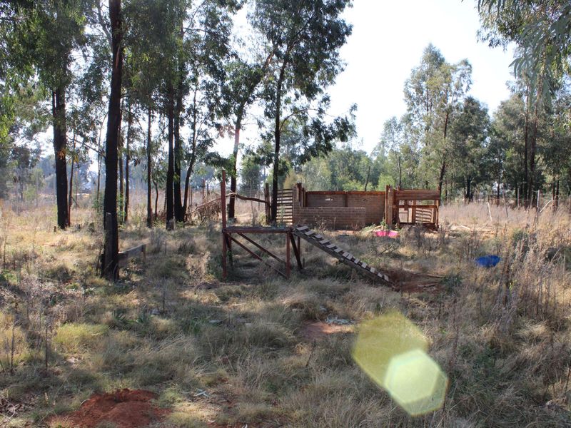 A large, overgrown residential plot featuring mature trees, perimeter fencing, and the remains of a small brick structure.