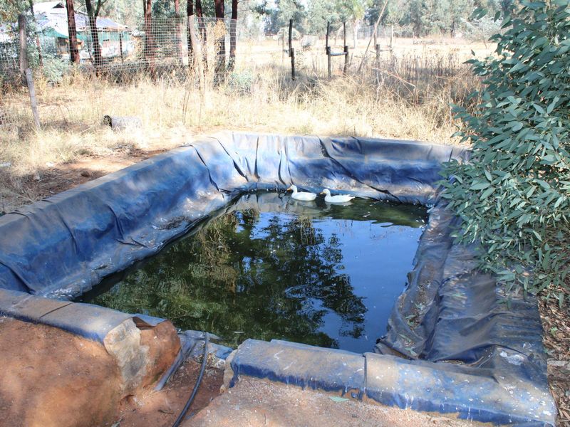 2.24 Hectare Smallholding Opportunity in Valley Settlements, Meyerton - Photo 7