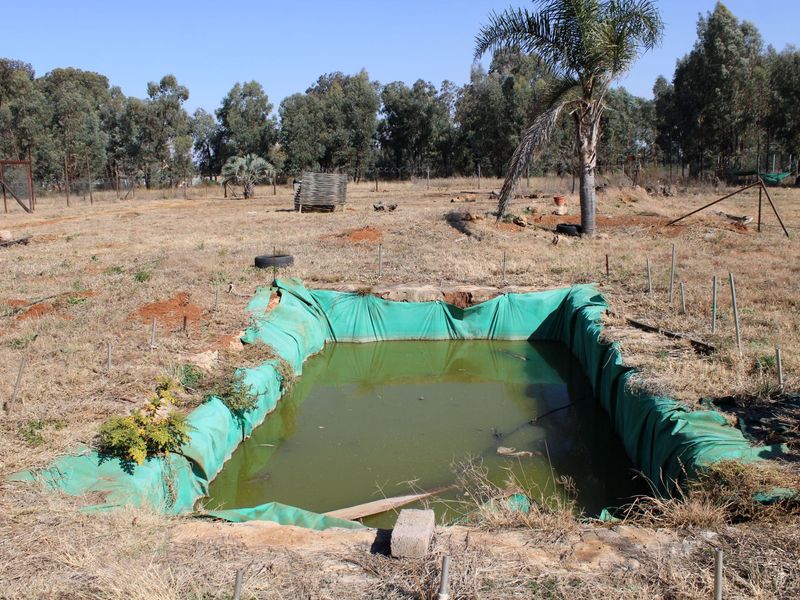 2.24 Hectare Smallholding Opportunity in Valley Settlements, Meyerton - Photo 6