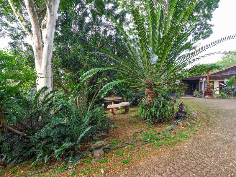 A lush, mature garden featuring established trees and a paved driveway leading towards the property entrance.