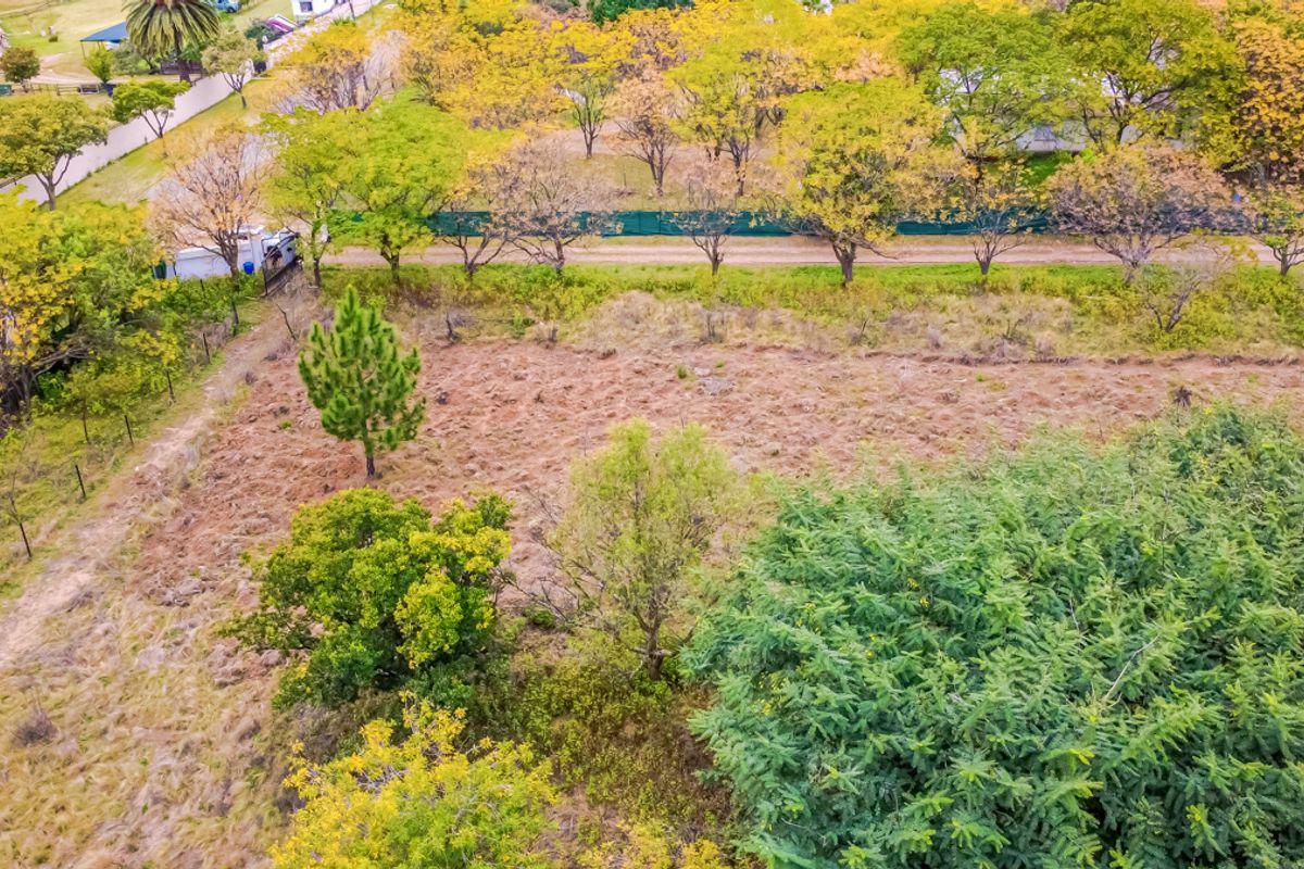 1 Hectare Vacant Land for Sale in Agricultural Holdings Midrand - Photo 3