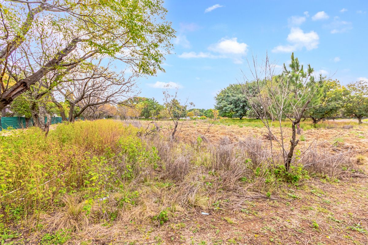 1 Hectare Vacant Land for Sale in Agricultural Holdings Midrand - Photo 5