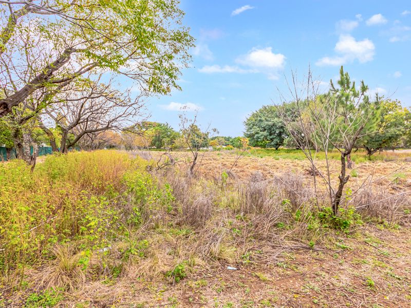 1 Hectare Vacant Land for Sale in Agricultural Holdings Midrand - Photo 5