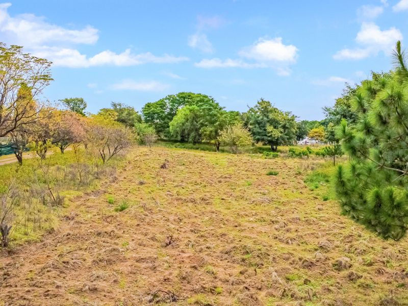 1 Hectare Vacant Land for Sale in Agricultural Holdings Midrand - Photo 9