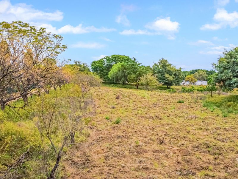1 Hectare Vacant Land for Sale in Agricultural Holdings Midrand - Photo 8