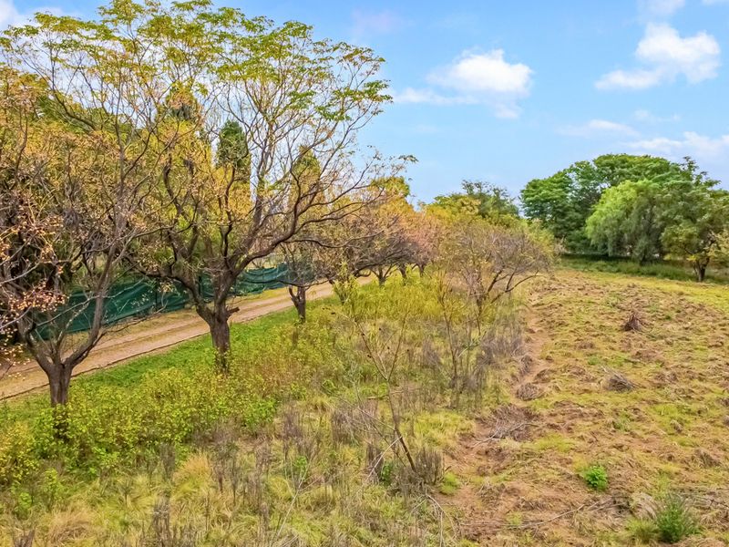 1 Hectare Vacant Land for Sale in Agricultural Holdings Midrand - Photo 7
