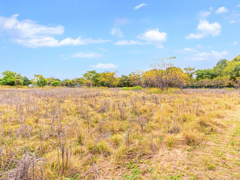 1 Hectare Vacant Land for Sale in Agricultural Holdings Midrand - Photo 6
