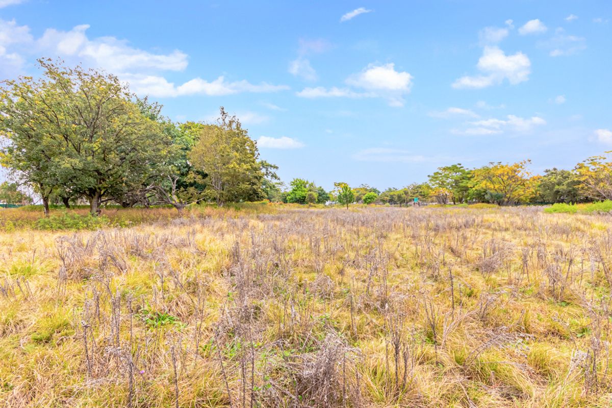 1 Hectare Vacant Land for Sale in Agricultural Holdings Midrand - Photo 4