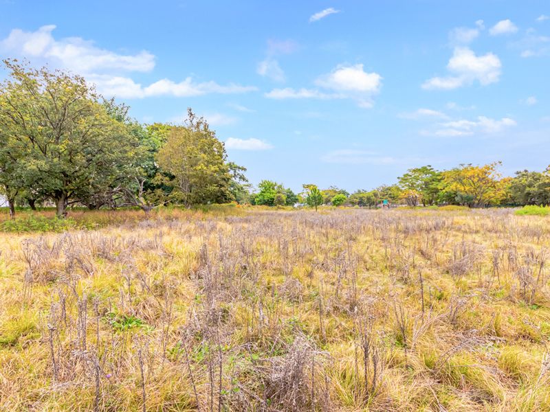 1 Hectare Vacant Land for Sale in Agricultural Holdings Midrand - Photo 4