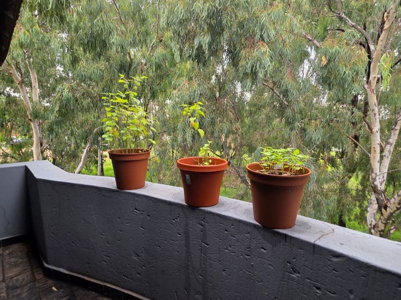 1 Bedroom 1 Bathroom apartment For sale - Photo 8