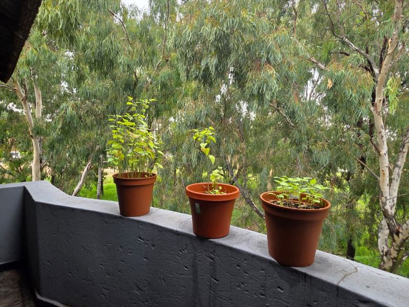 1 Bedroom 1 Bathroom apartment For sale - Photo 6