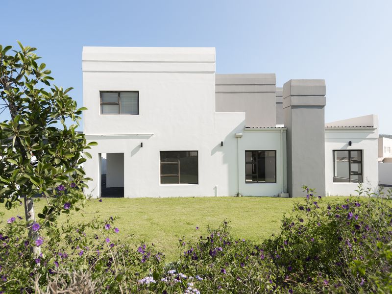 An Exceptionally Spacious, Fully Renovated Family Retreat in Myburgh Park - Photo 4