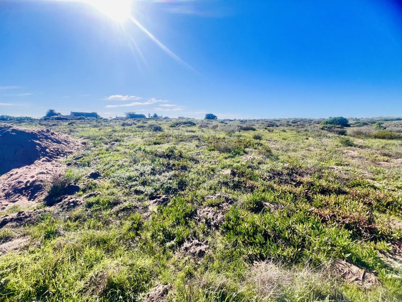 Lagoon Views - Photo 3