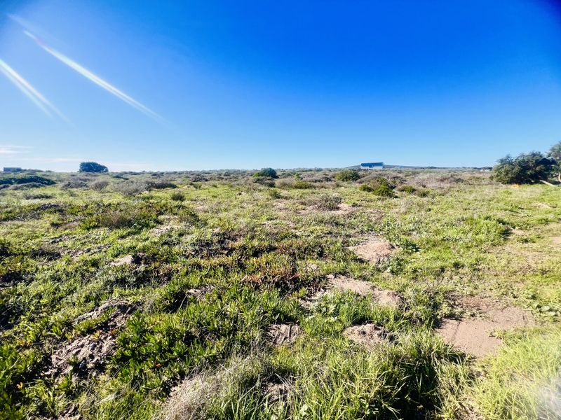 Lagoon Views - Photo 5