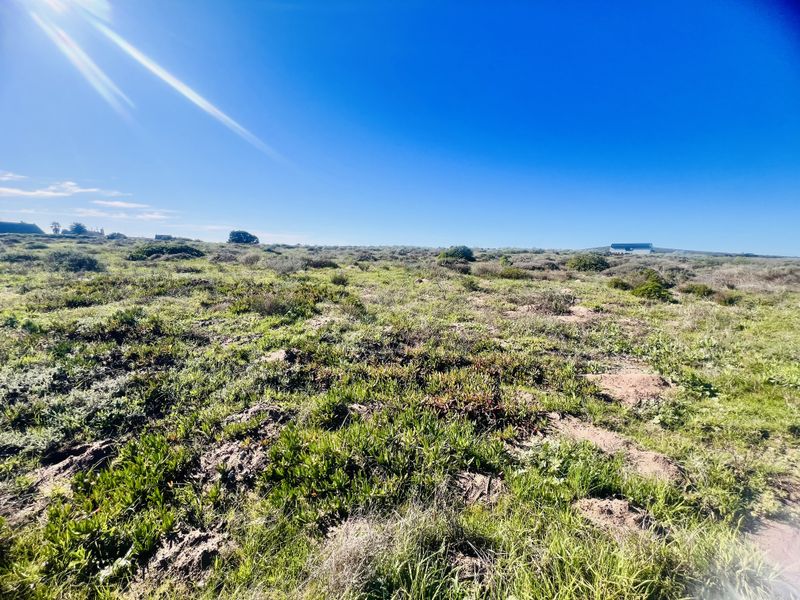 Lagoon Views - Photo 4