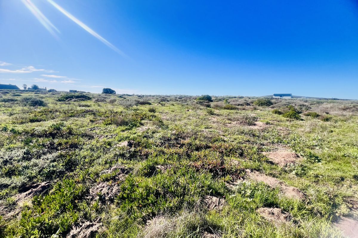Lagoon Views - Photo 4