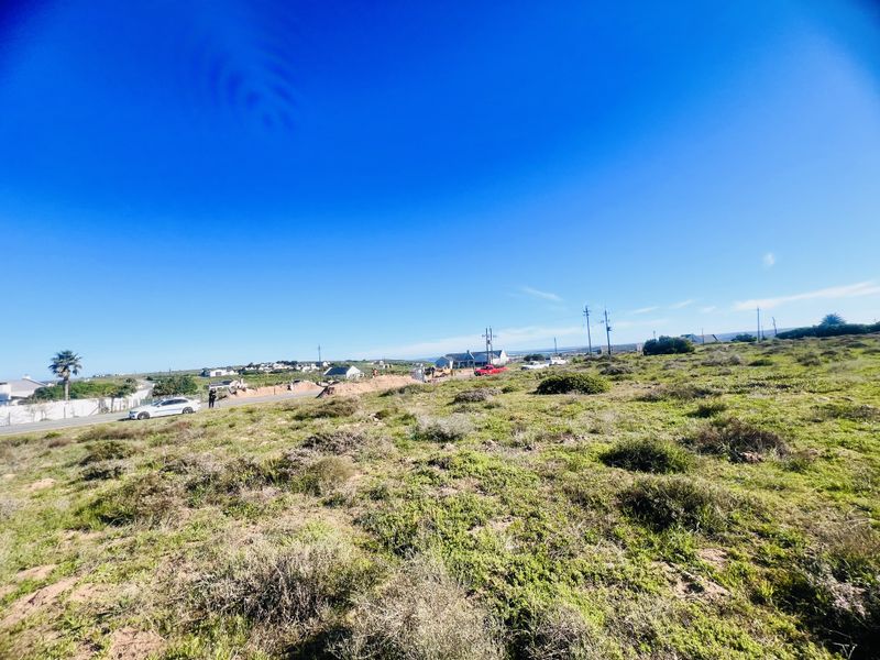 Lagoon Views - Photo 7