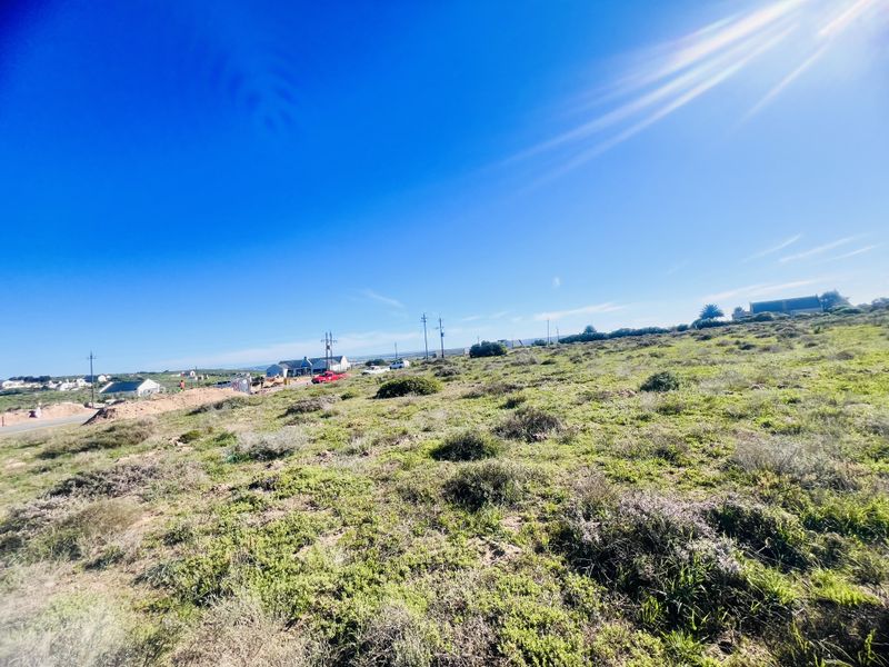 Lagoon Views - Photo 6