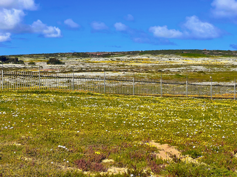 Plot Plus Plan - Clubhouse side of the estate.  Chardon Village - Photo 3