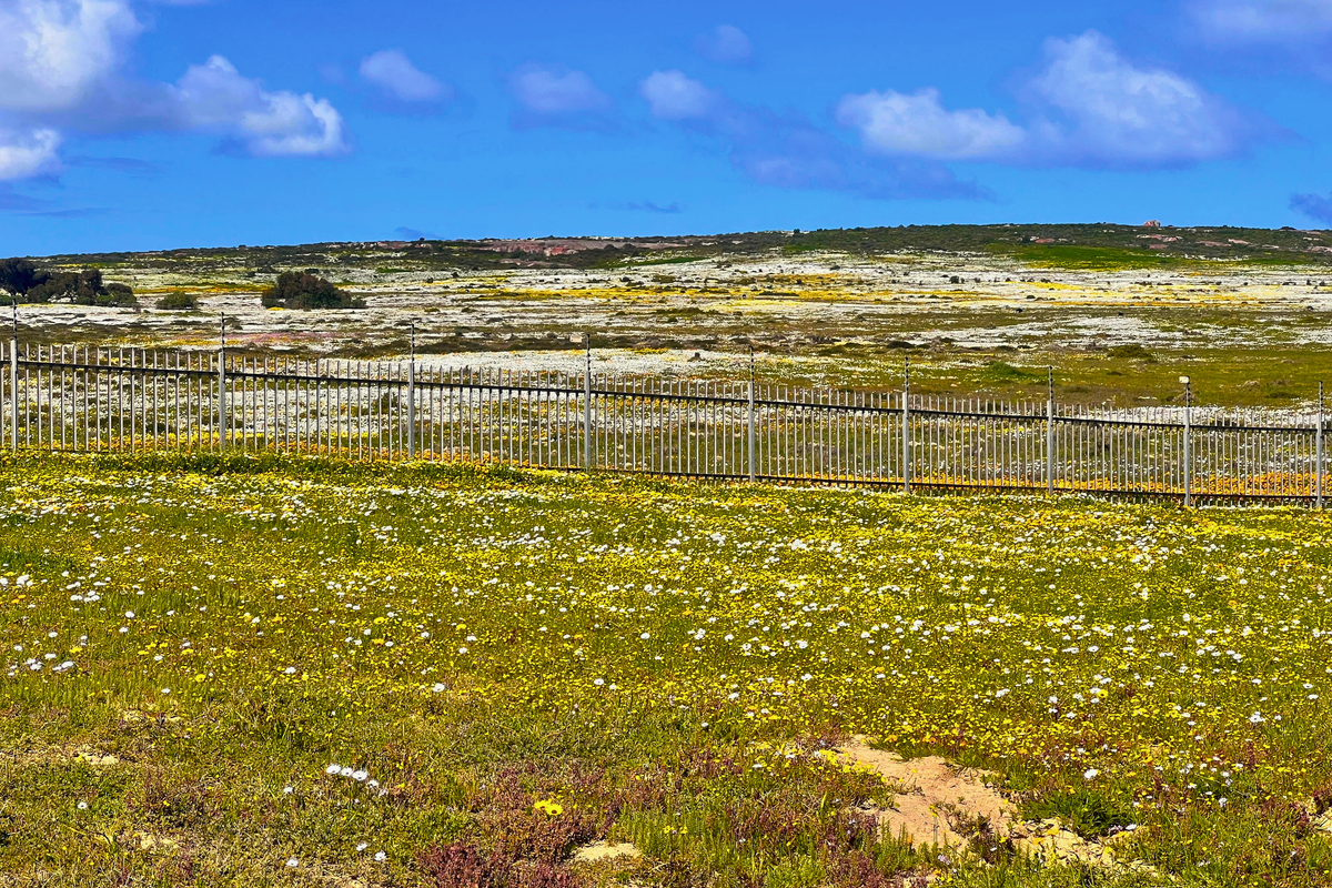 Plot Plus Plan - Clubhouse side of the estate.  Chardon Village - Photo 3