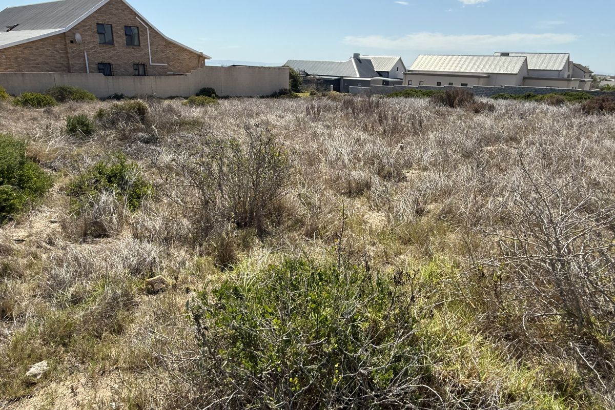 A vacant residential plot featuring natural vegetation, surrounded by established residential properties and boundary walls.