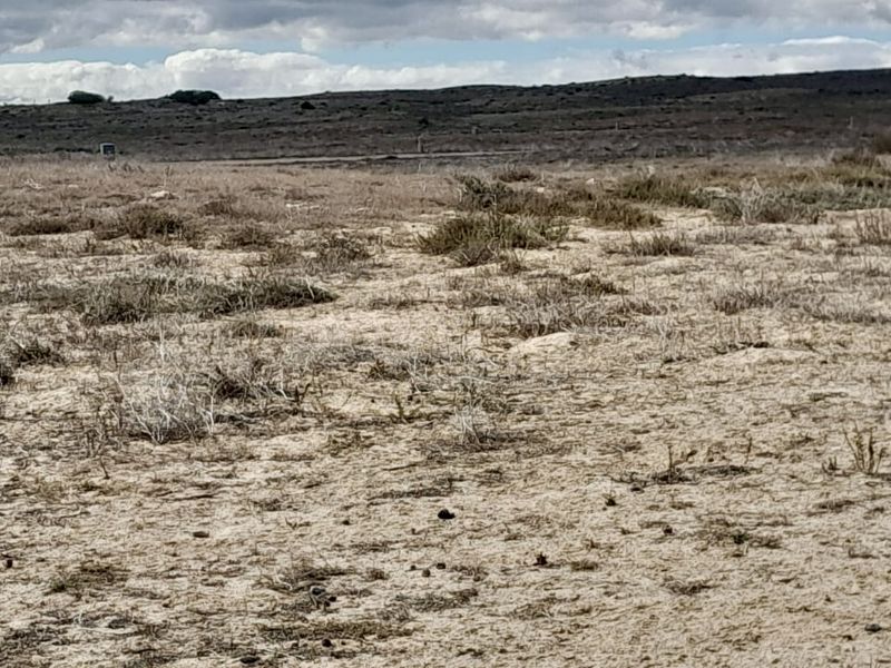 Prime Vacant Land Opportunity – Endless Possibilities Await! - Photo 7