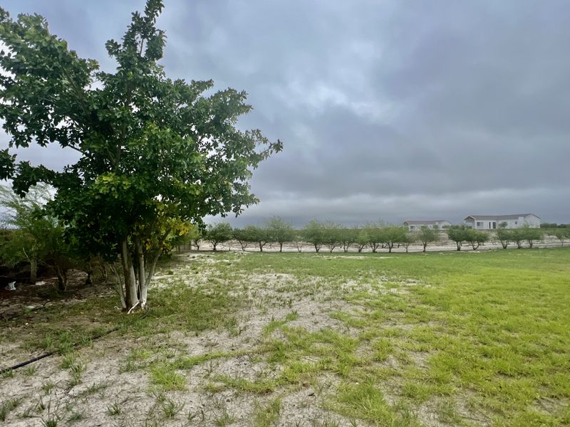 Your Countryside Dream Awaits – 43ha Lifestyle Farm Near Hopefield & Langebaan - Photo 6