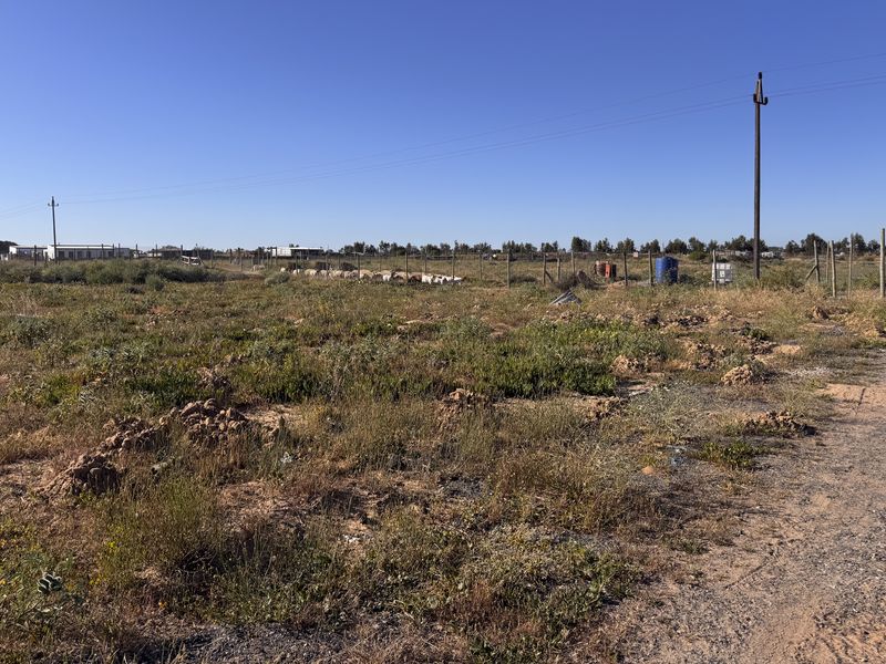 2.1 Hectare Smallholding in Vredenburg Rural - Photo 7