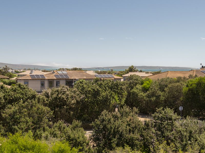 Bright North-Facing First-Floor Apartment - Photo 5