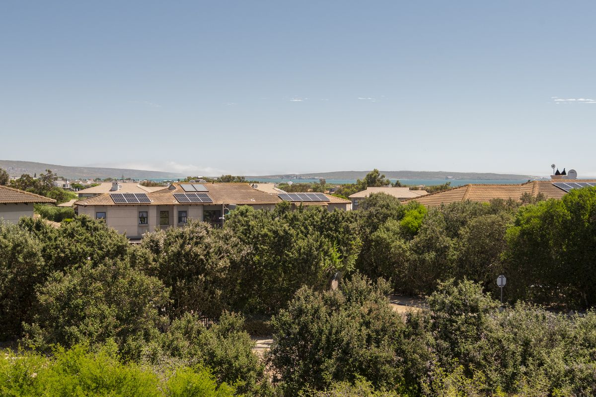 Bright North-Facing First-Floor Apartment - Photo 5