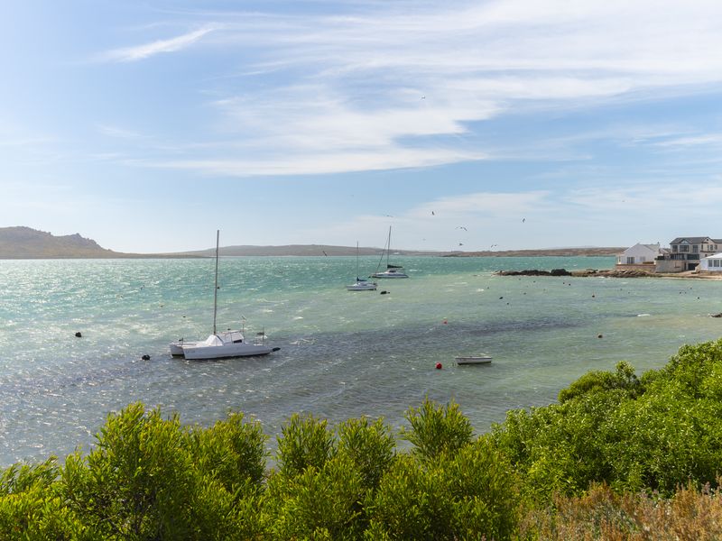 Exceptional Lagoon Views in Exclusive Myburgh Park – Your Luxury Canvas Awaits - Photo 7