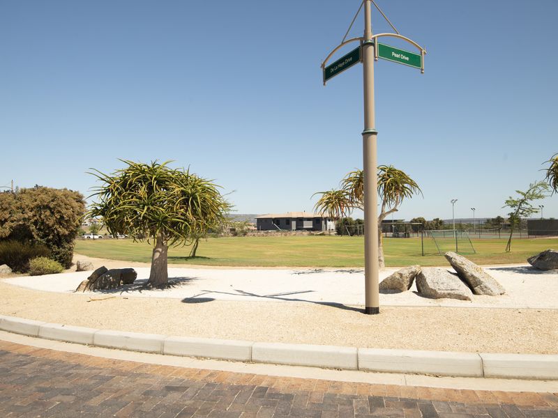 Corner Stand  +  Greenbelt Views =  The Perfect Canvas - Photo 9