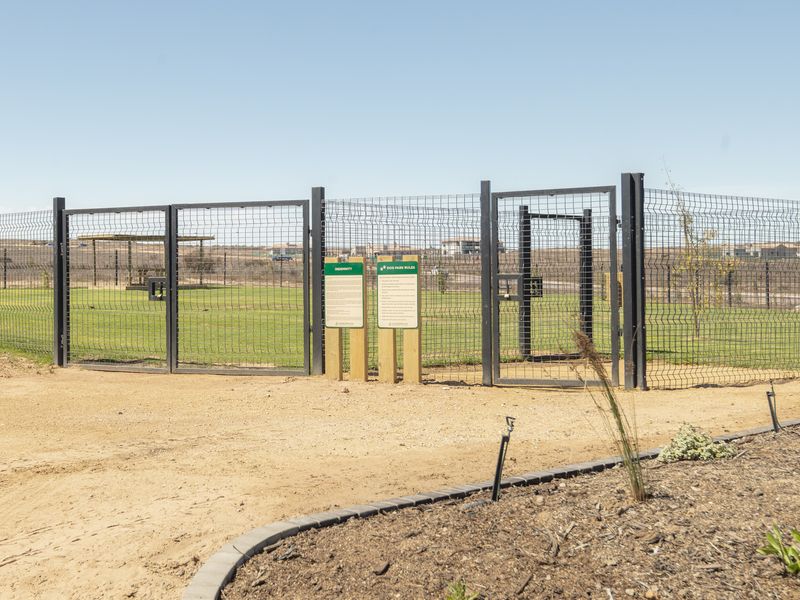 Corner Stand  +  Greenbelt Views =  The Perfect Canvas - Photo 8