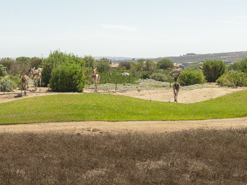 Corner Stand  +  Greenbelt Views =  The Perfect Canvas - Photo 6
