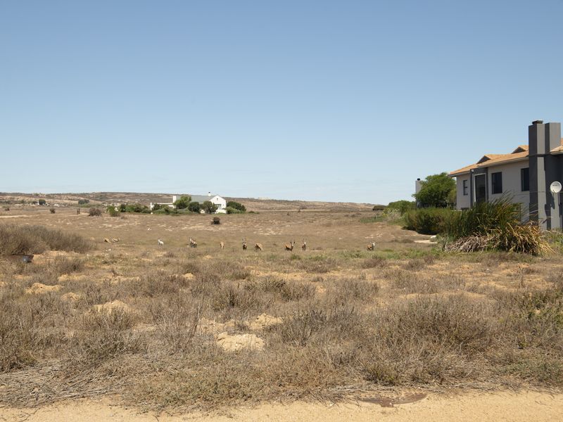 Corner Stand  +  Greenbelt Views =  The Perfect Canvas - Photo 4