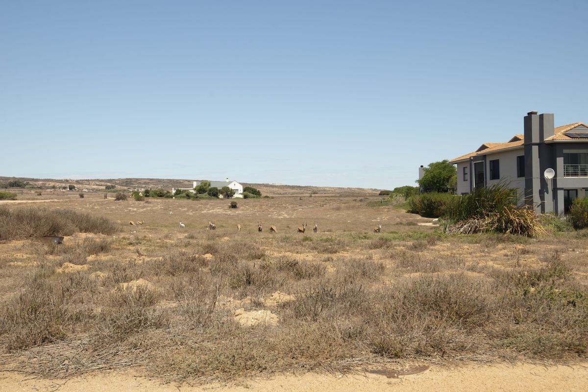 Corner Stand  +  Greenbelt Views =  The Perfect Canvas - Photo 4