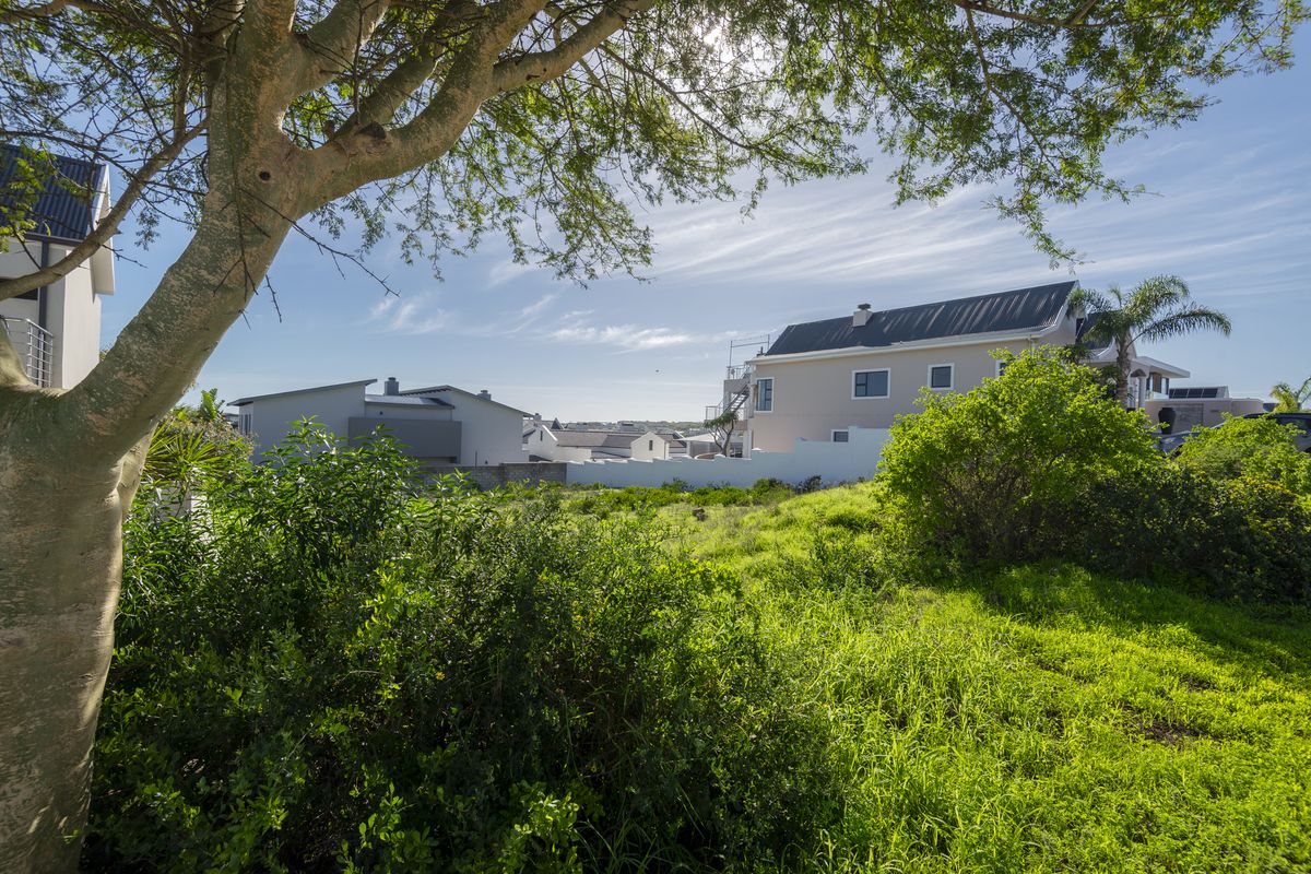 Exceptional Lagoon Views in Exclusive Myburgh Park – Your Luxury Canvas Awaits - Photo 2