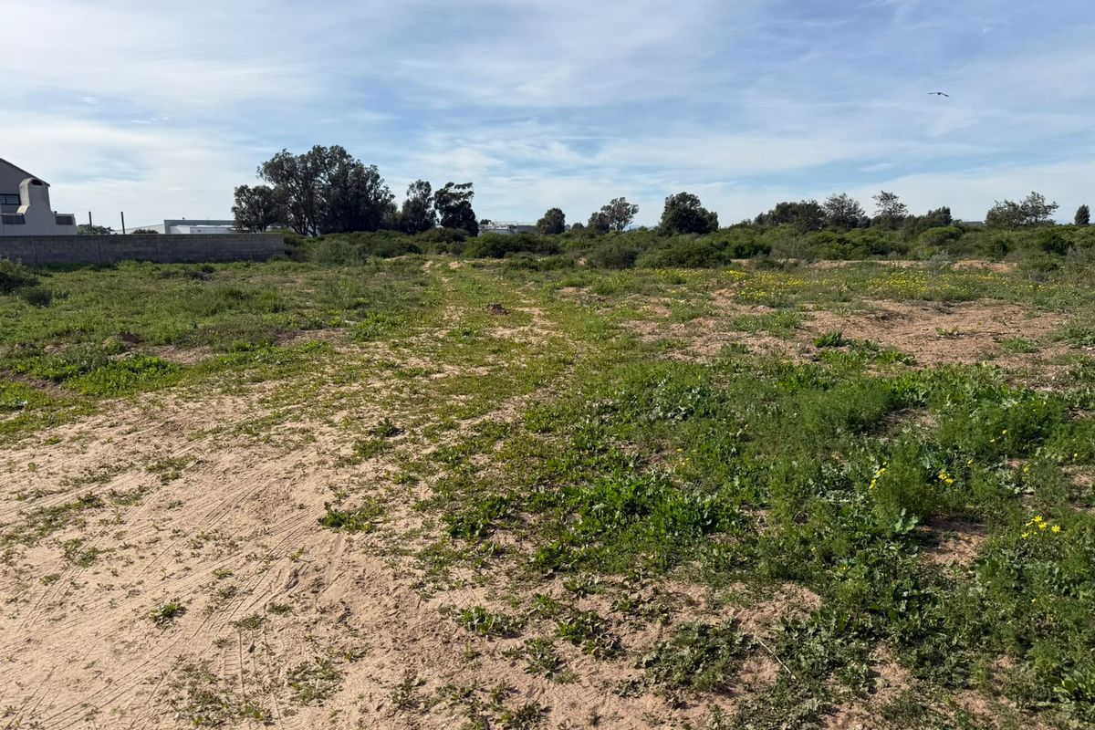 A vacant residential plot featuring natural vegetation, sandy terrain, and a perimeter boundary wall, offering a blank canvas for future development.