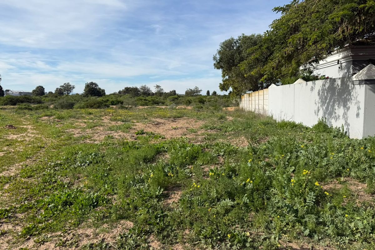 A vacant residential plot featuring natural vegetation and a boundary wall along the side perimeter.