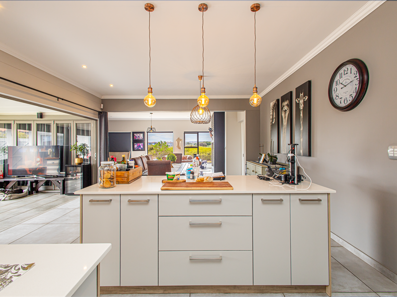 Where Life Slows Down and the buck roam free in Langebaan Country Estate - Photo 10