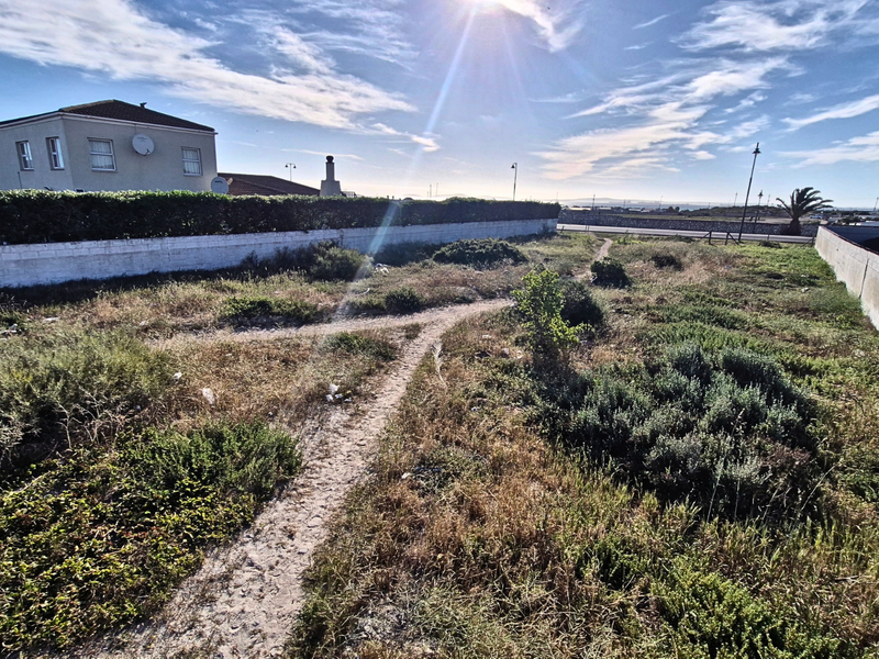 A vacant residential plot featuring boundary walls and natural vegetation, offering a clear space for future development in a established neighborhood.