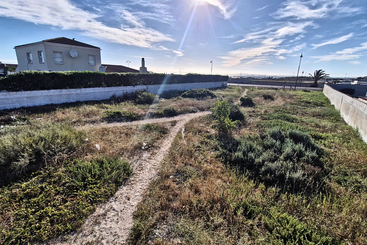 A vacant residential plot featuring boundary walls and natural vegetation, offering a clear space for future development in a established neighborhood.