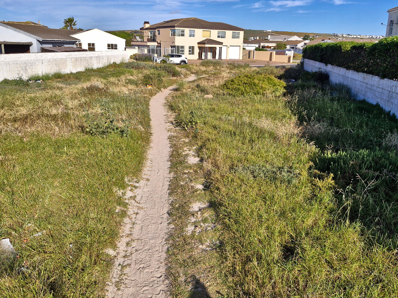 A vacant residential plot featuring boundary walls and established hedging, currently covered in overgrown vegetation with a central dirt path.