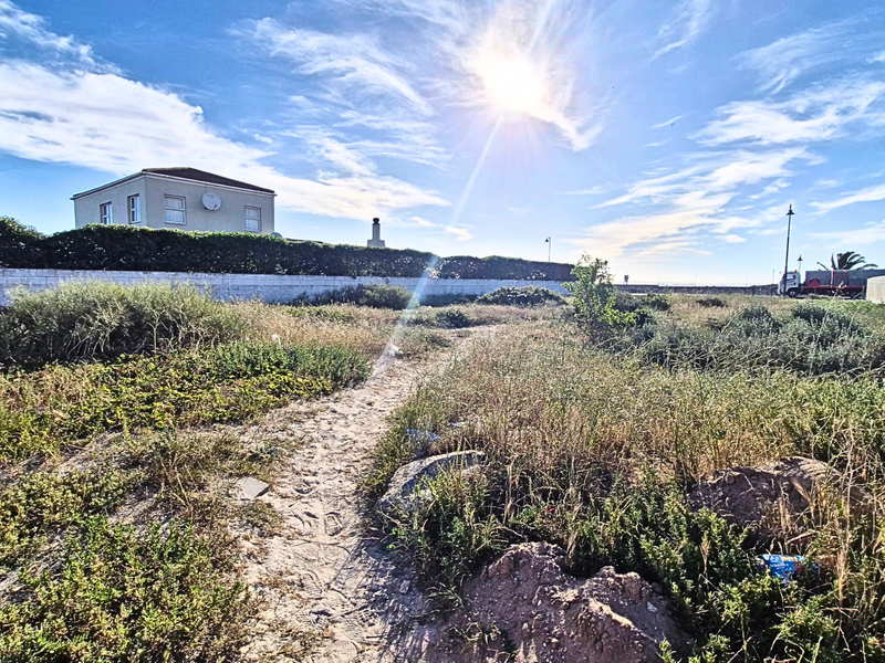 A vacant residential plot featuring natural vegetation, a boundary wall, and clear access, offering potential for development in a quiet neighborhood.