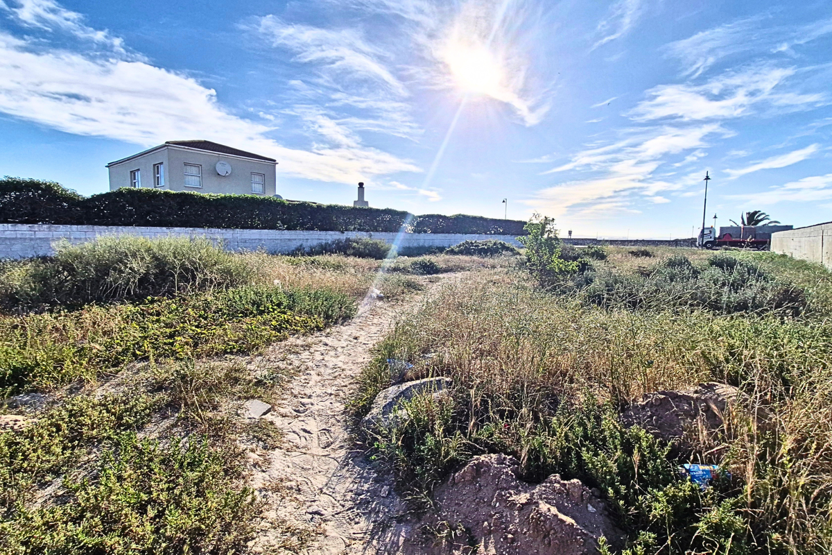 A vacant residential plot featuring natural vegetation, a boundary wall, and clear access, offering potential for development in a quiet neighborhood.